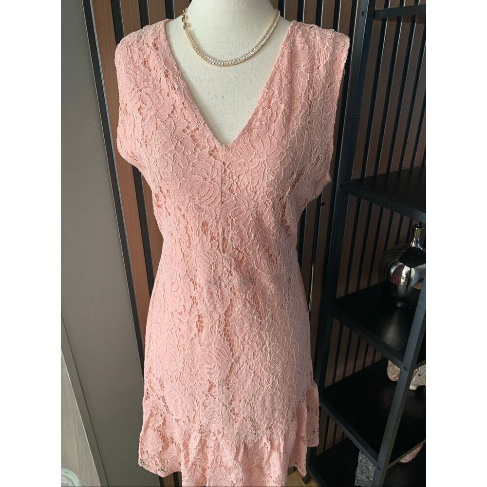 Andree by unit Francy Ruffle Hem Lace Dress in Rose Mist - sz M NWT